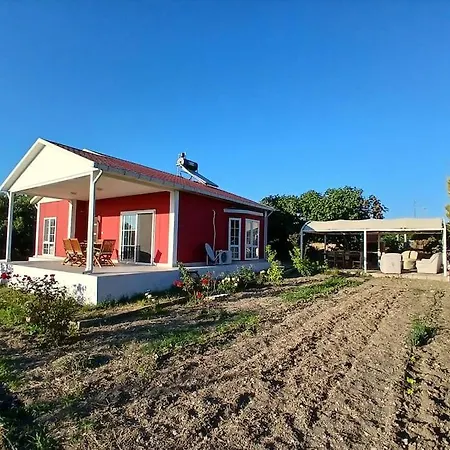 Σπίτι διακοπών Meyve Bahceli Kirmizi Ev Ovacik (Cesme)